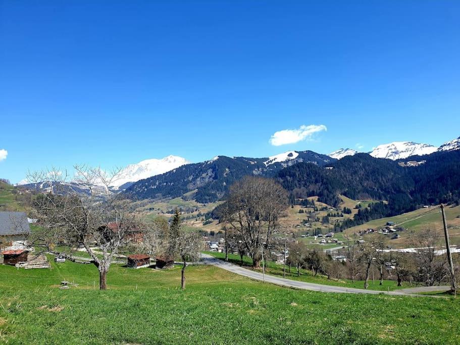 Duplex 26m2 A La Montagne * Praz-sur-Arly