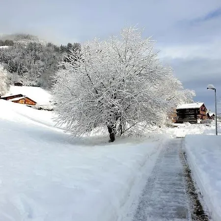 Charmant Studio Duplex 26M2 A La Montagne Praz-sur-Arly Buitenkant foto