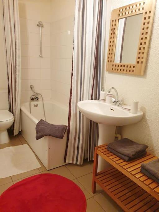 Duplex 26m2 à La Montagne * Praz-sur-Arly