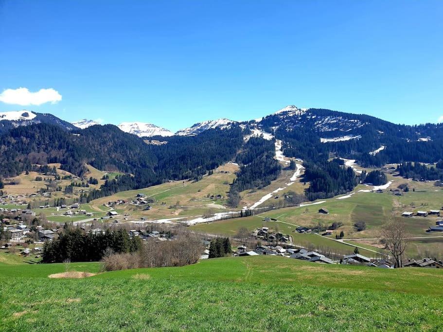 Duplex 26m2 à La Montagne Praz-sur-Arly